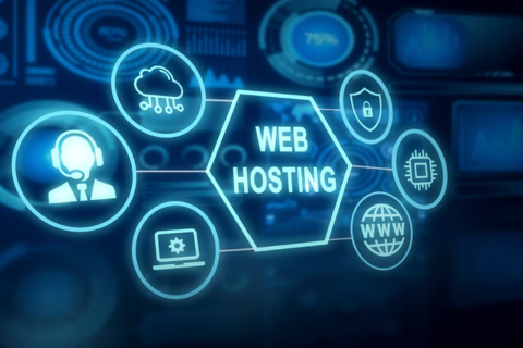 Domain & Web Hosting Provider Company in Noida